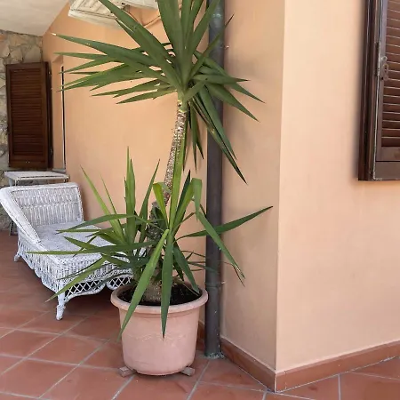 Casa Capo Perla - Argonautivacanze * Capoliveri
